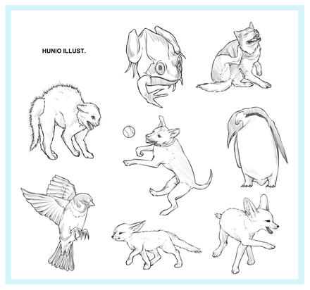 Animals Study, 2021.